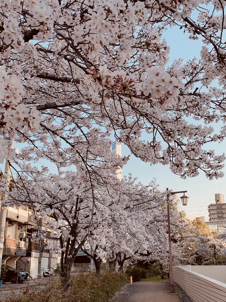 43号線　福町