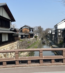 近江八幡　水郷めぐり