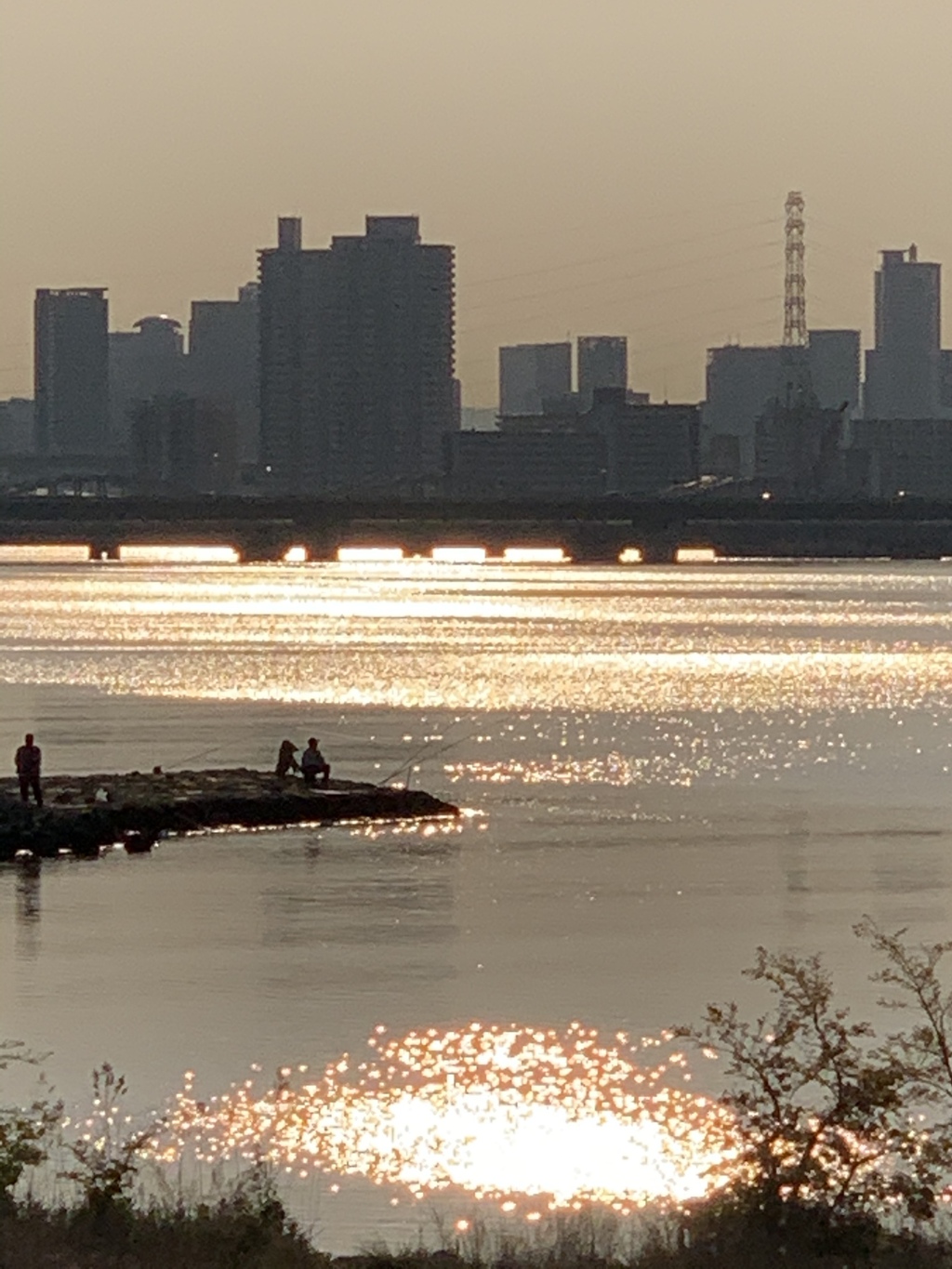 毎日違う朝