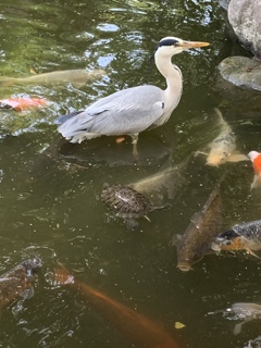 西宮神社