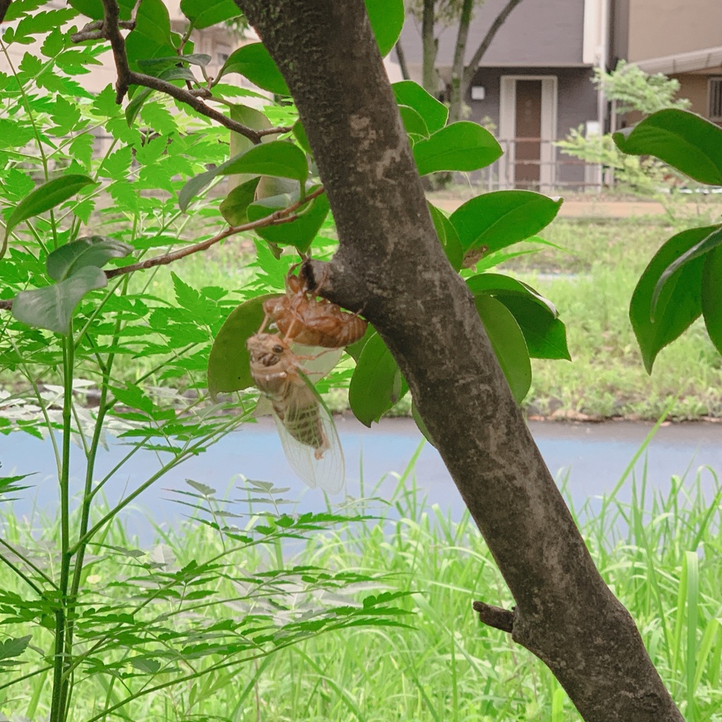 お誕生日おめでとう