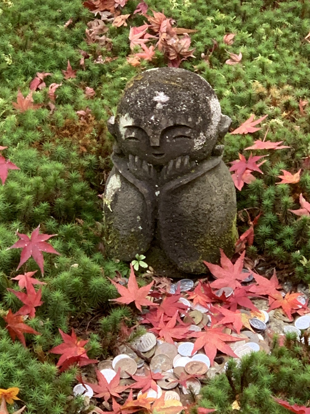 京都　圓光寺