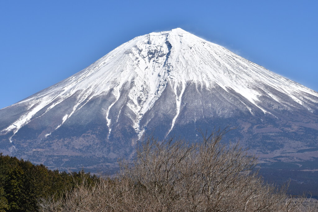 Mt.Fuji