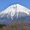 Mt.Fuji