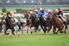 阪神競馬場にて