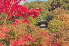 秋の京都　永観堂