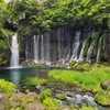 白糸の滝(静岡県富士宮市)