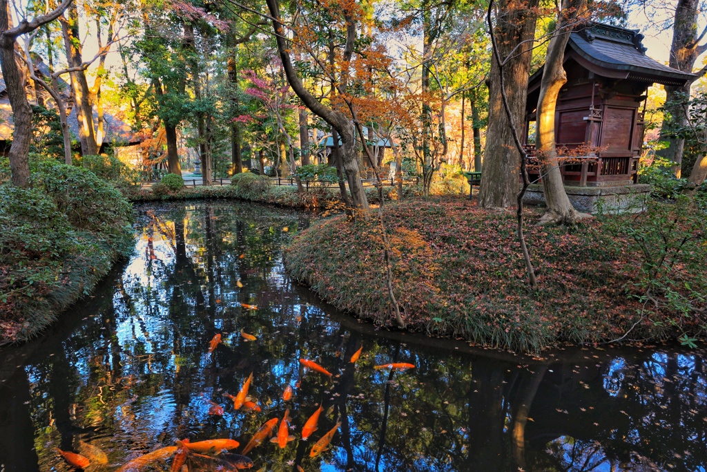 平林寺(埼玉県新座市)