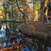 平林寺(埼玉県新座市)