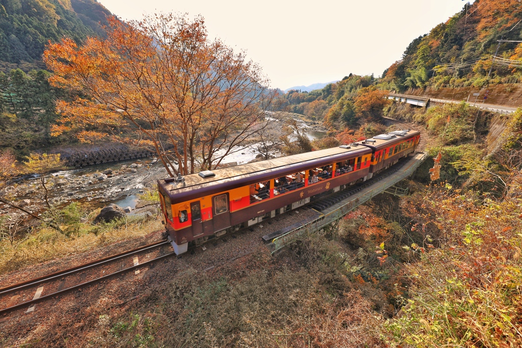 渡良瀬川とトロッコ列車
