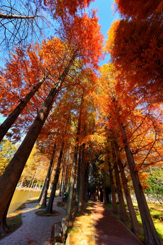 別所沼公園