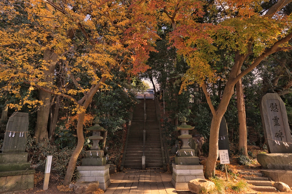 赤城神社(千葉県流山市)