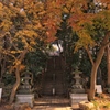赤城神社(千葉県流山市)