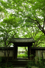鎌倉 瑞泉寺