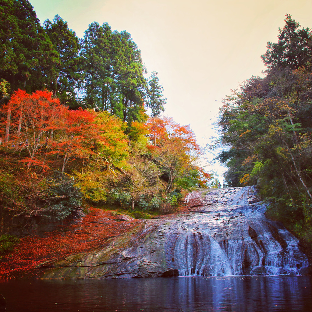 粟又の滝   ※千葉県大多喜町