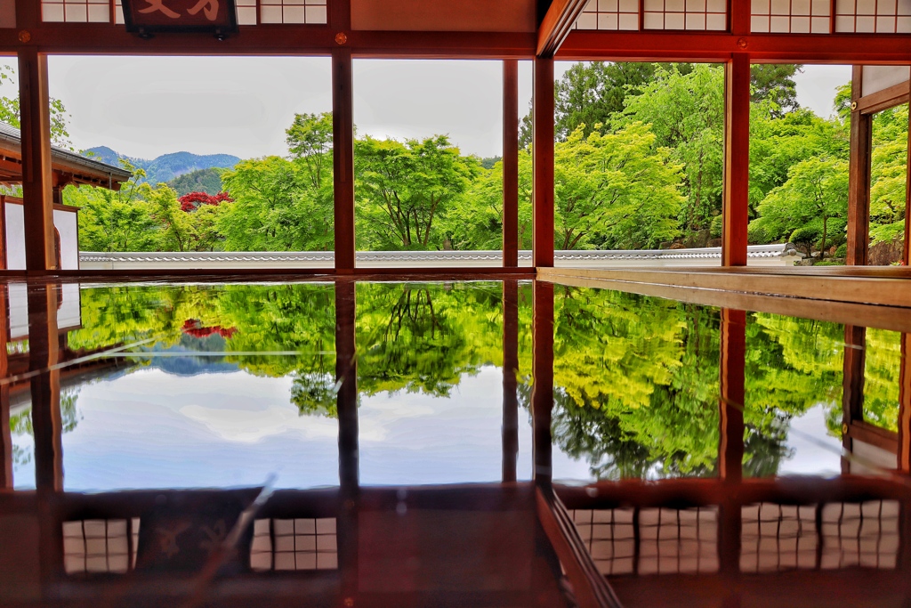 宝徳寺の床もみじ