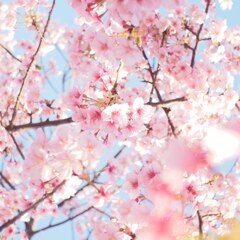 IMG_20200223_174353_891