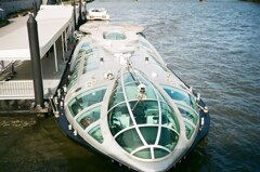 IMG_20201110_130349_623