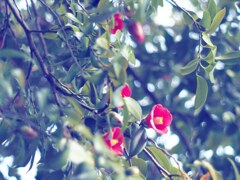 IMG_20200305_132603_585