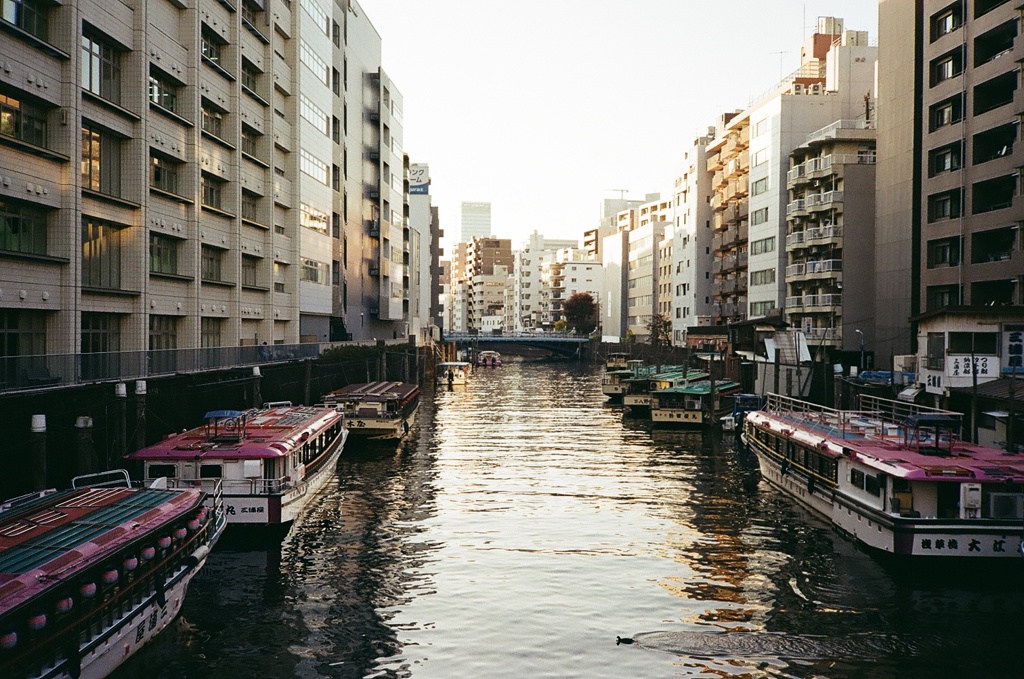 水辺の風景