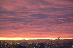 夜明け前