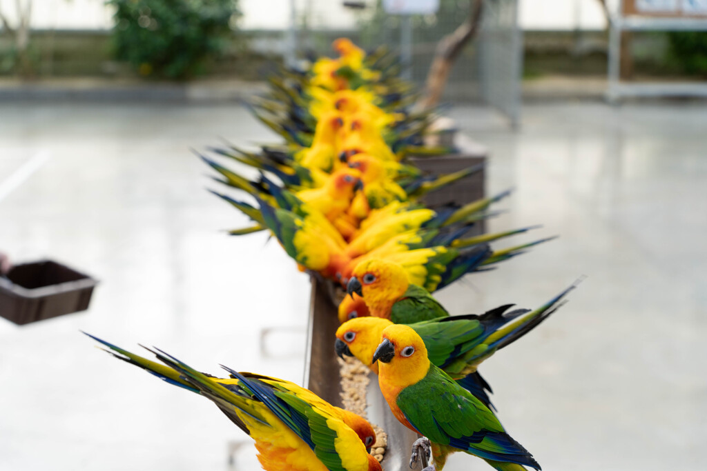 掛川花鳥園