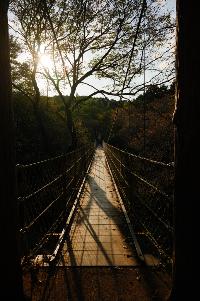 吊り橋