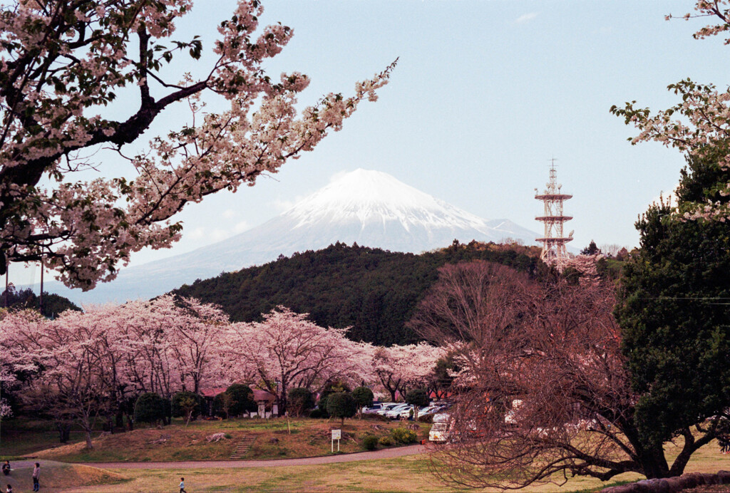 岩本山