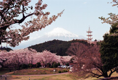 岩本山