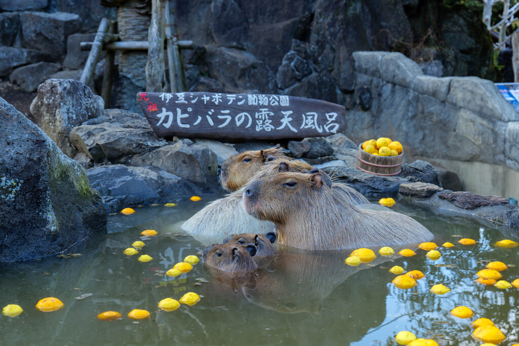露天風呂