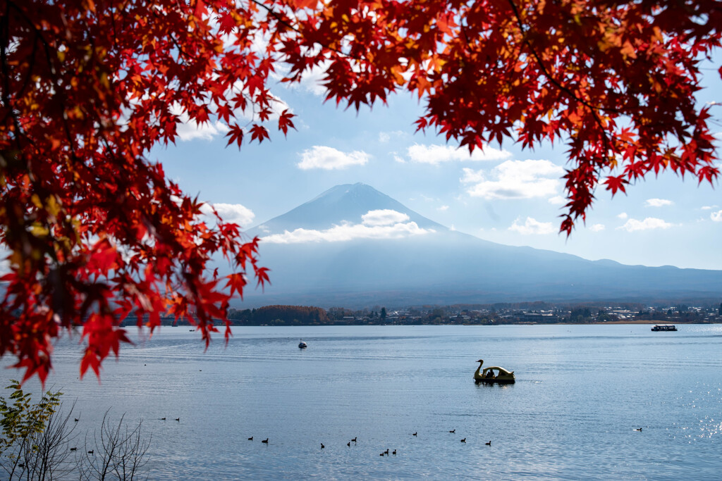 紅葉と富士