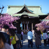 桜神宮