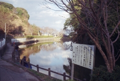 フナ釣り