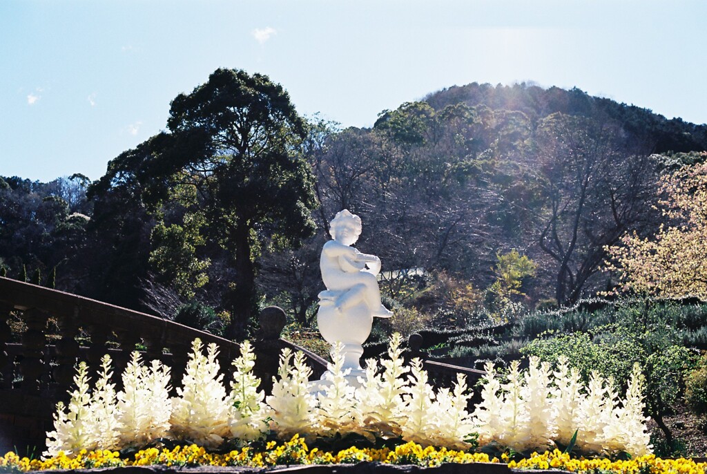 アカオハーブ＆ローズガーデン