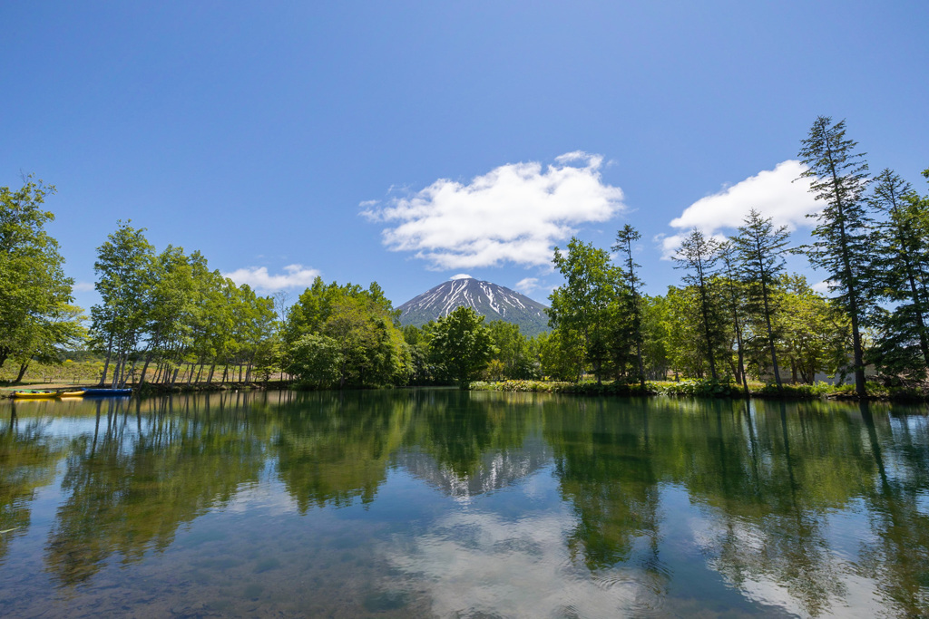 初夏の羊蹄山