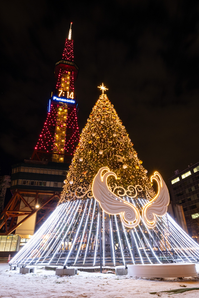 12月の大通公園