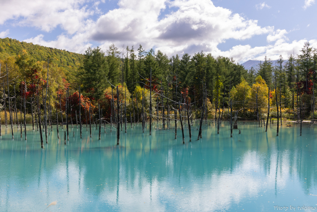 秋の青い池