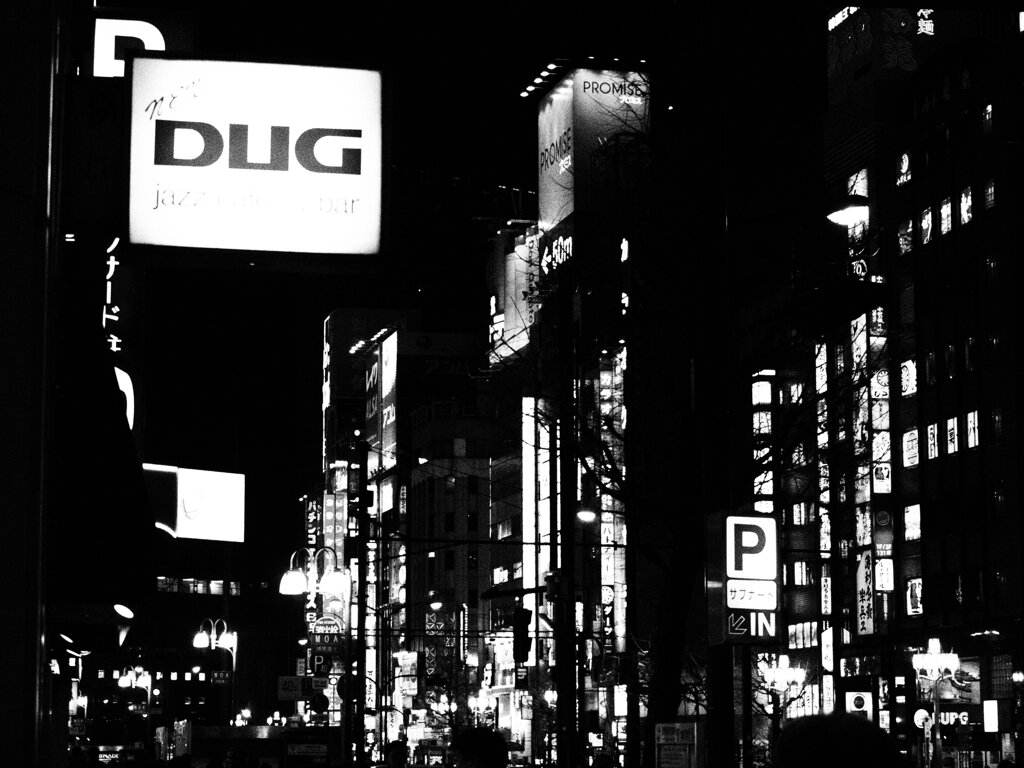 DUG by night