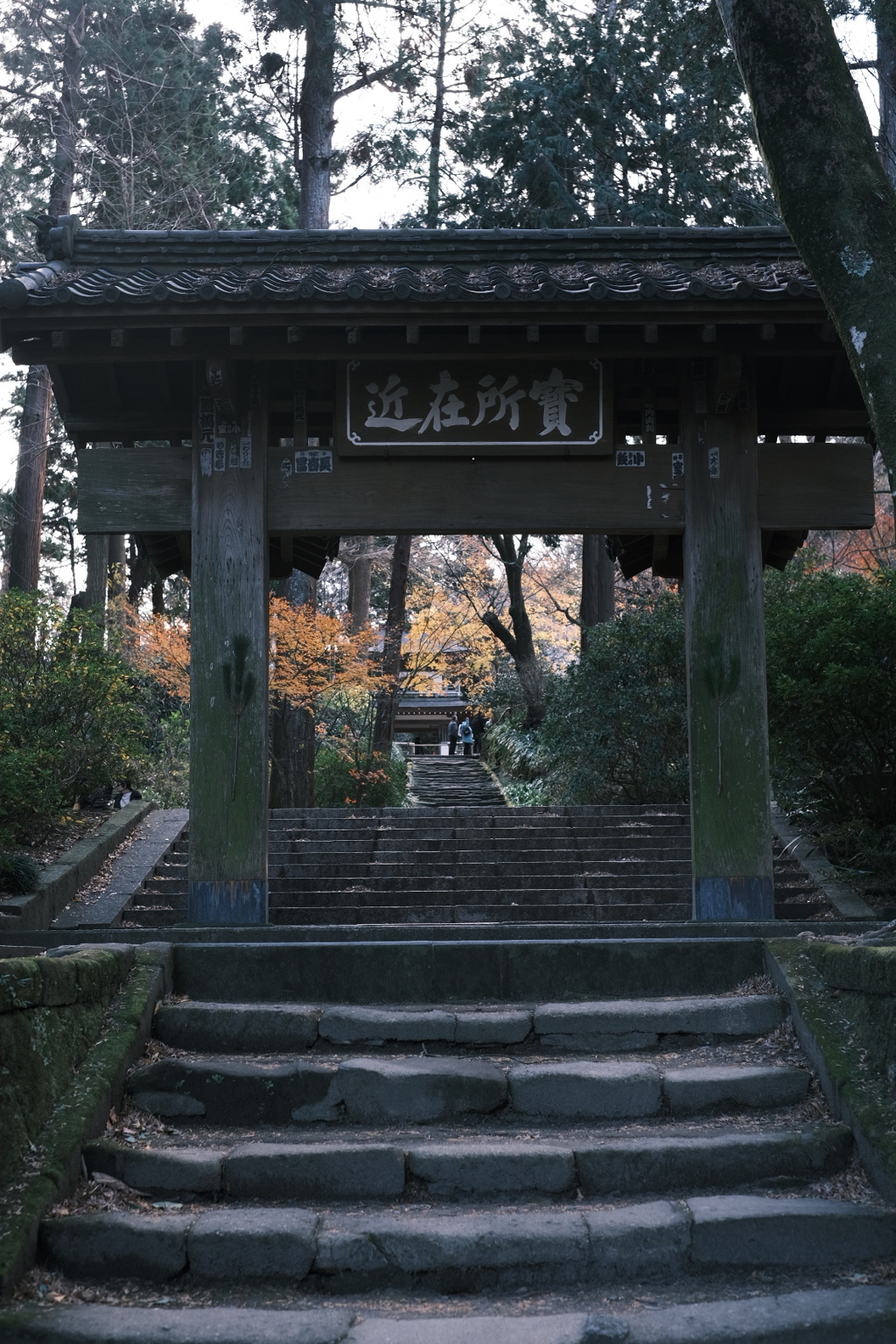 鎌倉へ行ってきました。