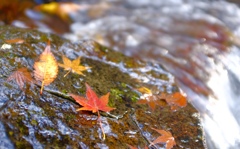 8076A522-F3BD-4961-AC26-7ACDDF3180B0