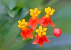 E7CC6FE1-6BCB-461C-A6DF-746625FE8B79