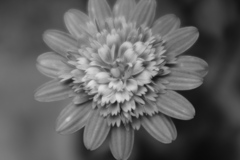 04509EA6-8058-4FCC-B257-7F668D1D7E42