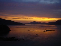 9AE4C638-E70D-458D-BFB7-75D4A2BAA00A