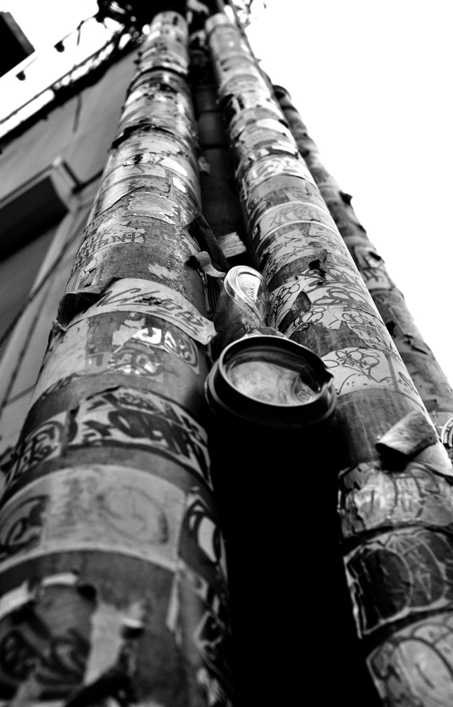 6EBD89FB-E365-4406-A832-AF2AE922C07A