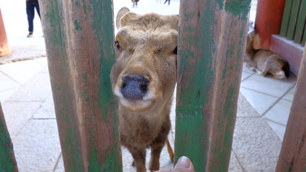 A71FF920-99FC-49C7-A0A5-931E6D02D3B6