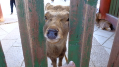 A71FF920-99FC-49C7-A0A5-931E6D02D3B6