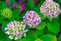 99E75AB8-3F5F-444F-A1D7-952396F04B35