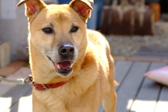 796C4BE0-8B47-4033-AA5E-689B888A2B82