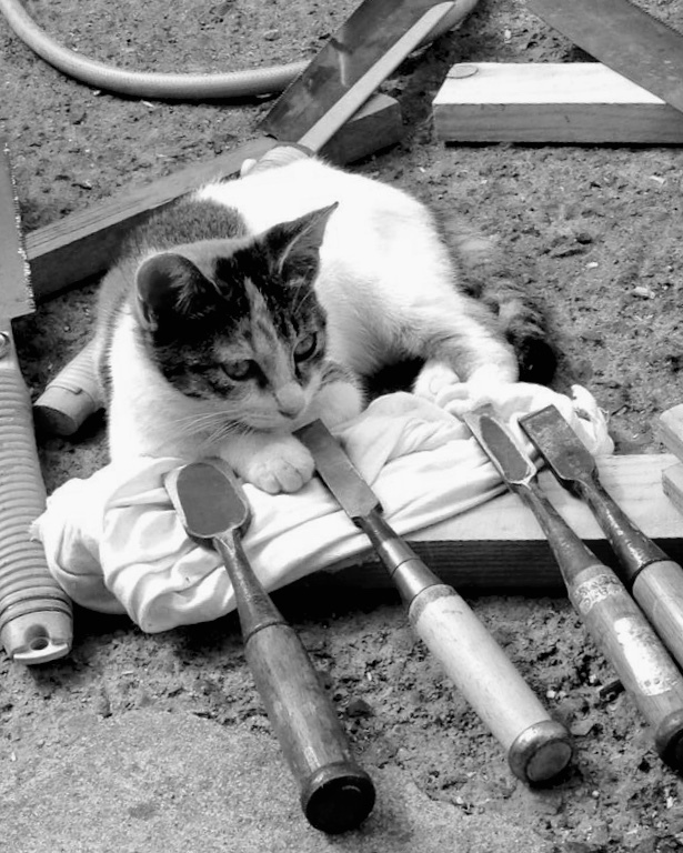 65EAB639-4C48-4FE7-8796-CD1203F0B493