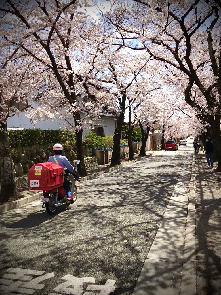 568FCEE1-2F22-4390-BF8E-6668741A8FB2